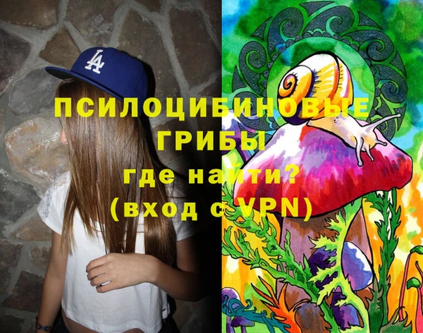 спиды Аркадак