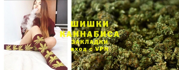 прущие грибы Инта