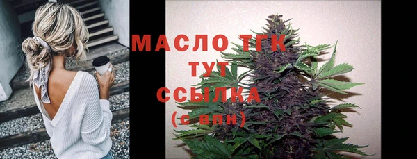 прущие грибы Инта