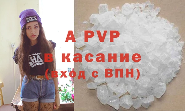 гашик Иннополис